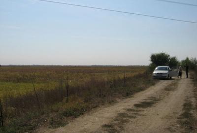 Teren de 6666 mp, în Dărăști-Ilfov
