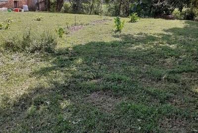 Casă cu 4 camere cu Teren 130 Mp în Ștrand