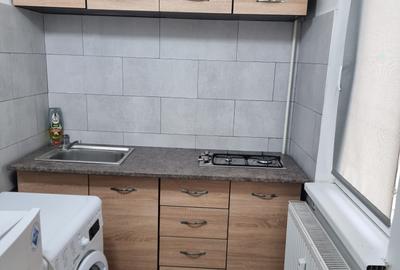 Garsonieră semidecomandată în Craiovița Nouă - 4