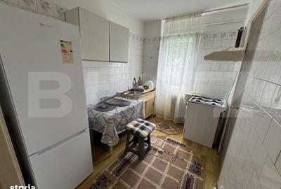 Apartament cu 2 camere, mobilat în Brazda lui Novac