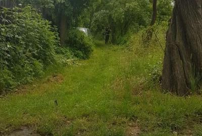 Teren de 1100 mp, în Gura Ocniței - 2