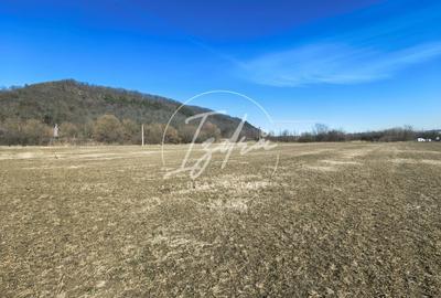 Teren agricol extravilan de 2800 mp, în Tălmaciu - 13