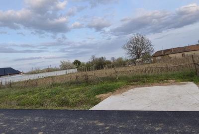 Teren de 9060 mp, în Cujmir - 2