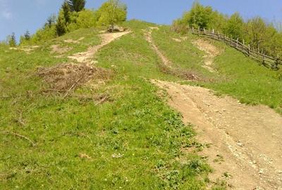 Teren de 25000 mp, în Moieciu - 2