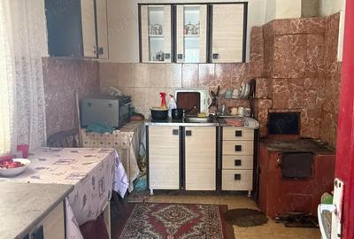 Casă cu 4 camere cu Teren 3200 Mp în Păltinișu - 2
