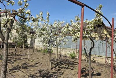 Casă cu 3 camere cu Teren 700 Mp în Șendreni