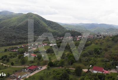 Spațiu comercial, în Cisnădioara