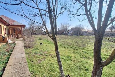 Casă cu 6 camere cu Teren 1341 Mp în Frumușani - 5