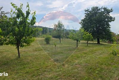 Teren de 3000 mp, în Bratca - 2