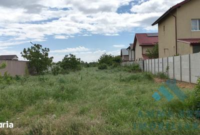 Teren de 5000 mp, în Jilava - 2