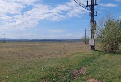 Teren de 2540 mp, în Șimian