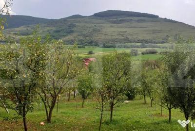 Teren în Central - 5
