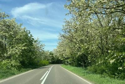 Teren de 3650 mp, în Central
