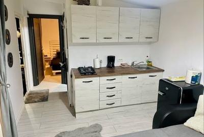 Casă cu 2 camere în Arefu - 5