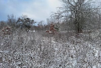 Teren de 2880 mp, în Mustești - 3