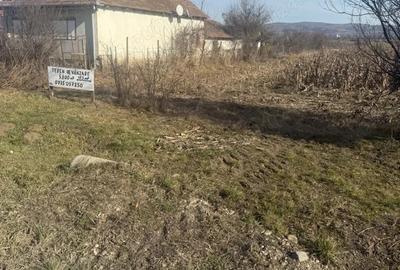 Teren de 5800 mp, în Central - 1