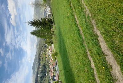 Teren de 1637 mp, în Central - 3