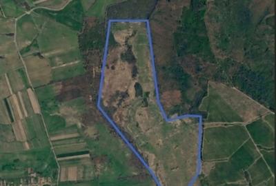 Teren de 850000 mp, în Ghizela