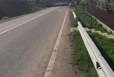 Teren de 9979 mp, în Rediu (Răuseni) - 6