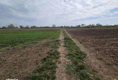 Teren de 300 mp, în Salca