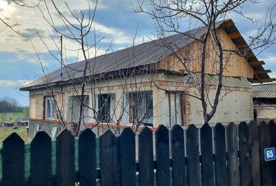 Casă cu 2 camere în Sălciile