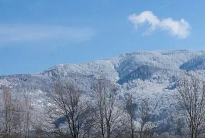 Teren de 17000 mp, în Nucșoara - 5