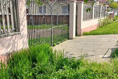 Teren de 900 mp, în Mănăstirea Cașin - 2