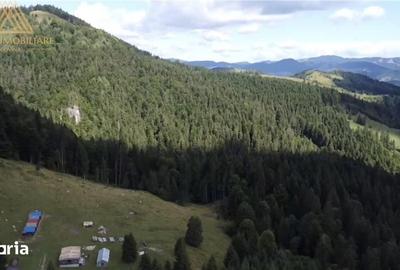 Teren de 50000 mp, în Central