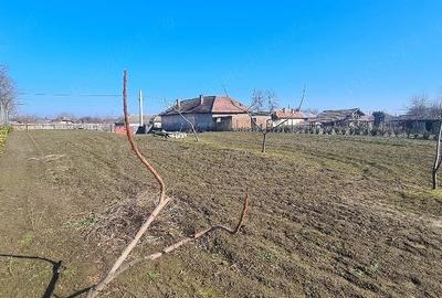 Teren de 1600 mp, în Islaz - 3