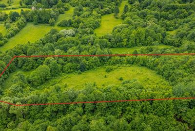 Teren agricol extravilan de 18860 mp, în Șinca Nouă - 3