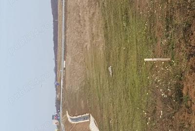 Teren de 3500 mp, în Băile Felix - 4