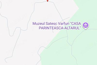 Teren de 8000 mp, în Cârlănești - 3