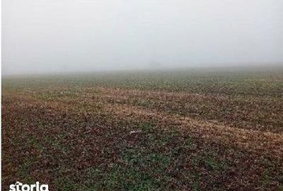 Teren de 18318 mp, în Ștefan cel Mare - 4