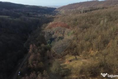 Teren de 5000 mp, în Coaș - 3