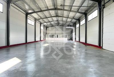 Spațiu industrial, de 400 mp, în Vest - 2