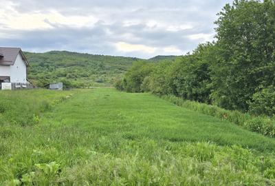 Teren de 2551 mp, în Măgureni - 8