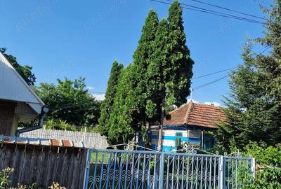 Casă cu 2 camere în Cozia - 7