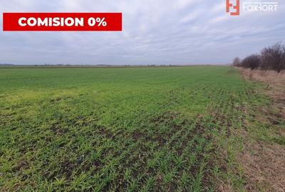 Teren agricol extravilan de 213257 mp, în Sud - 14