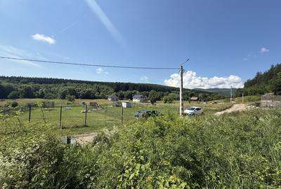 Teren Construcții intravilan de 1500 mp, în Săvădisla - 3