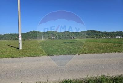 Teren Construcții intravilan de 1780 mp, în Crăciunești - 5
