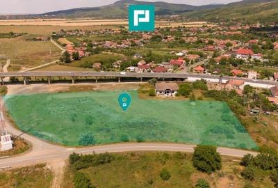 Teren Construcții intravilan de 10000 mp, în Păuliș - 1