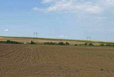 Teren de 27000 mp, în Săucești - 2