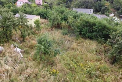 Teren Construcții intravilan de 1130 mp, în Glodeni - 3
