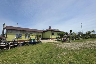 Casă individuală cu 3 camere cu Teren 3604 Mp în Tortoman - 16