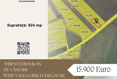 Teren extravilan de 824 mp, în Calnic
