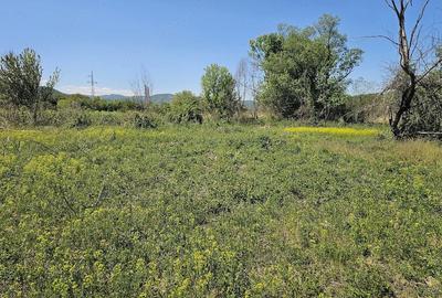 Teren de 12667 mp, în Șoimuș - 3