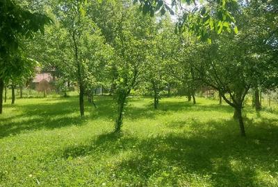 Teren de 1000 mp, în Podul Lung - 5