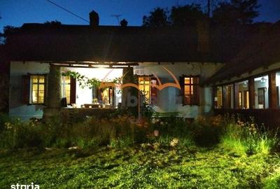 Casă cu 7 camere cu Teren 9948 Mp în Arefu - 6