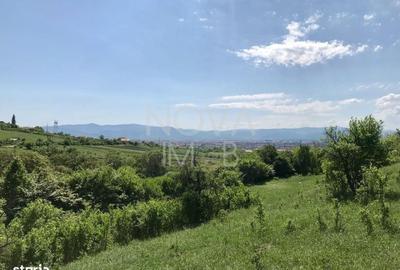 Spațiu comercial, în Gușterița