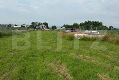 Casă cu 2 camere cu Teren 2000 Mp în Dărmănești - 2
